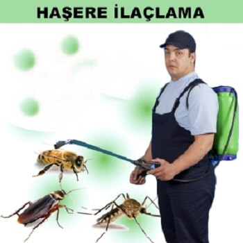 Saray Böcek İlaçlama